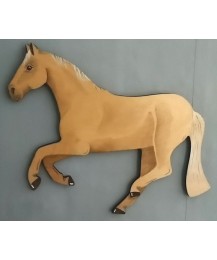 Pony - Galloping